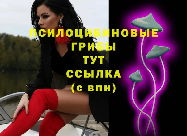скорость Бородино